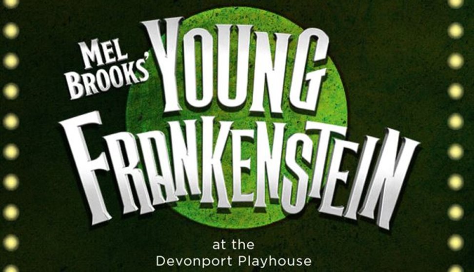 Young Frankenstein the Musical