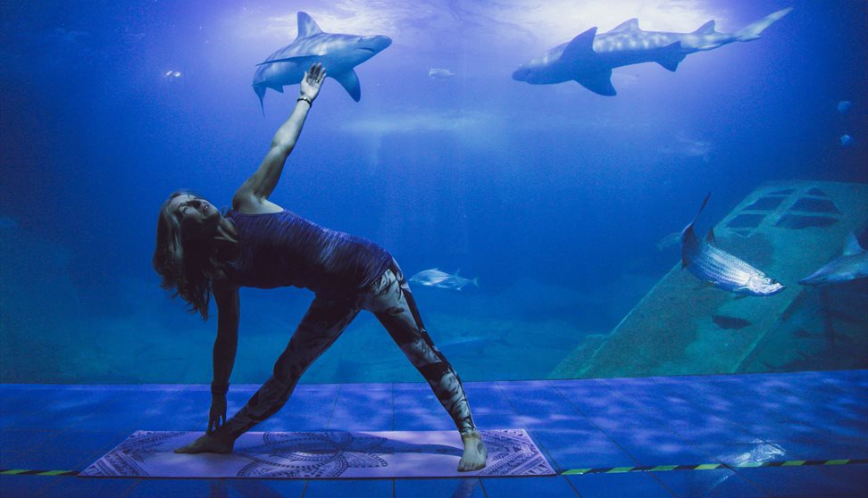 Yoga at the Aquarium