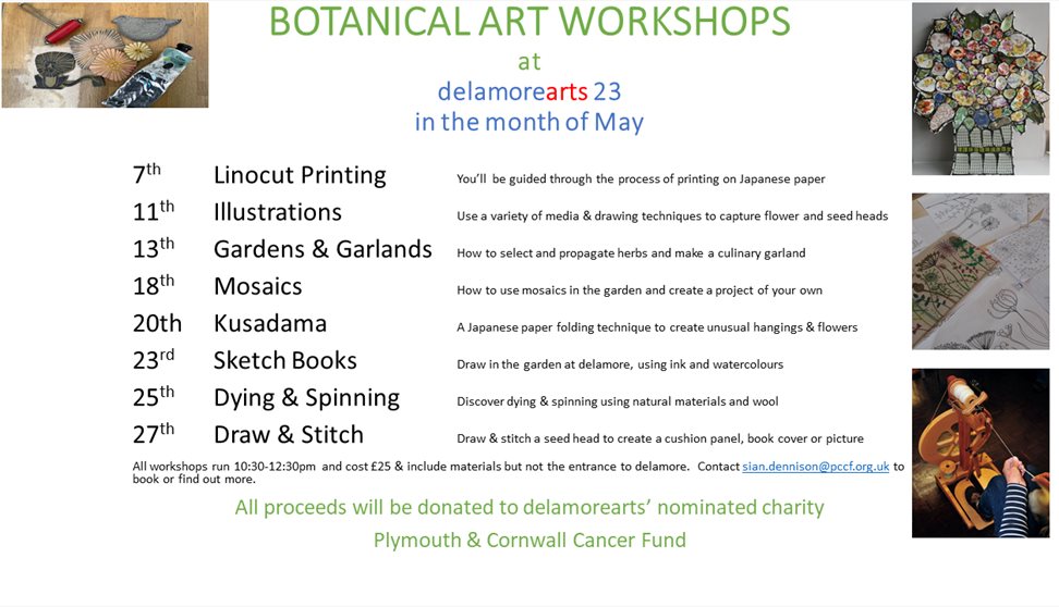 Botanical Art Workshops
