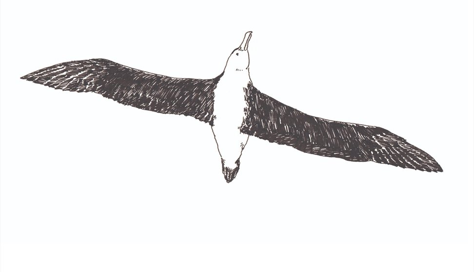 "An injury to the volume": The Rime of the Ancient Mariner and The Lyrical Ballads