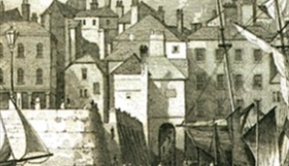 Plymouth Wonder Walks