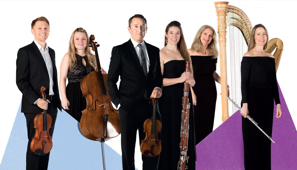 Members of Bournemouth Symphony Orchestra