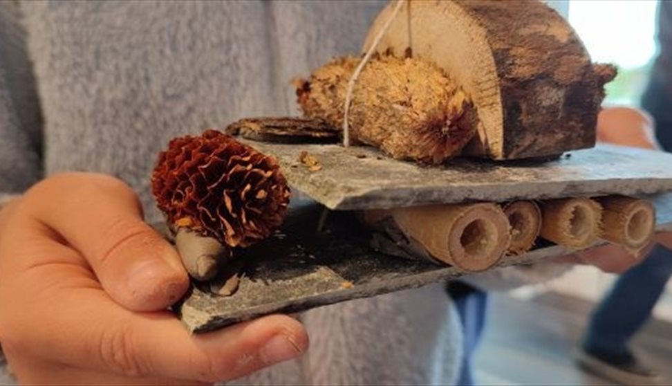 Bug Hotels and Seed Bombs at Bridging the Tamar