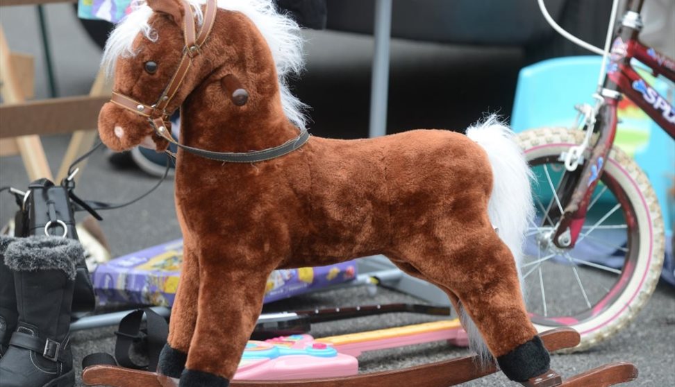 Car Boot Sales - Newton Abbot Racecourse