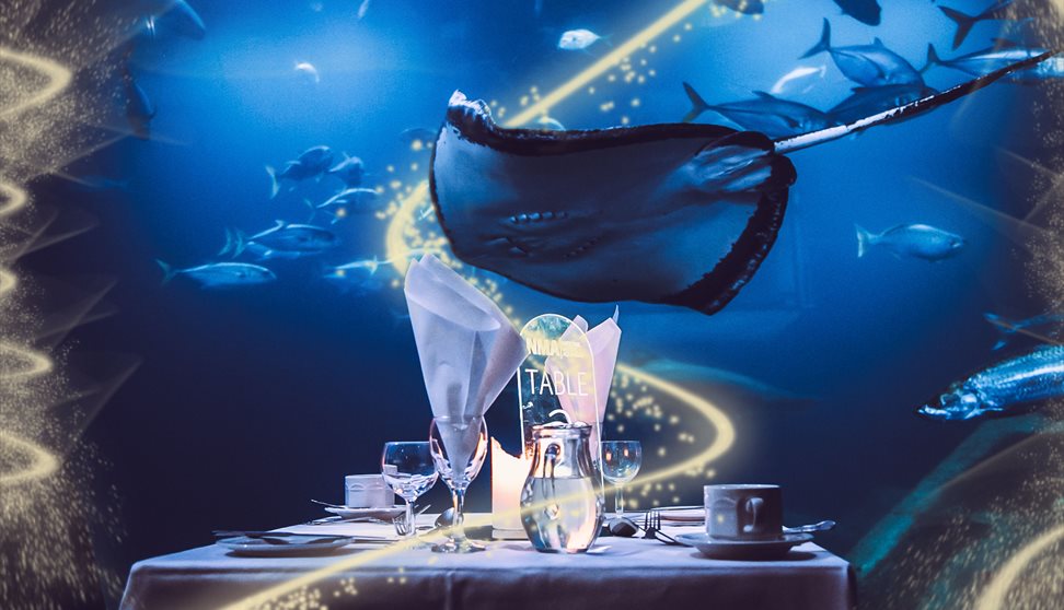 Dine at the Aquarium