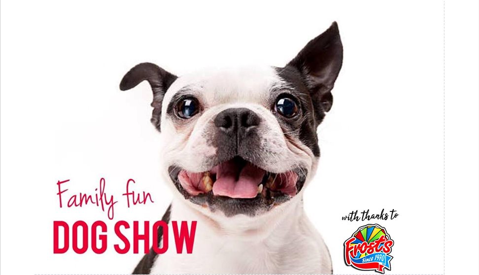 Devonport Park Music Festival & Dog Show