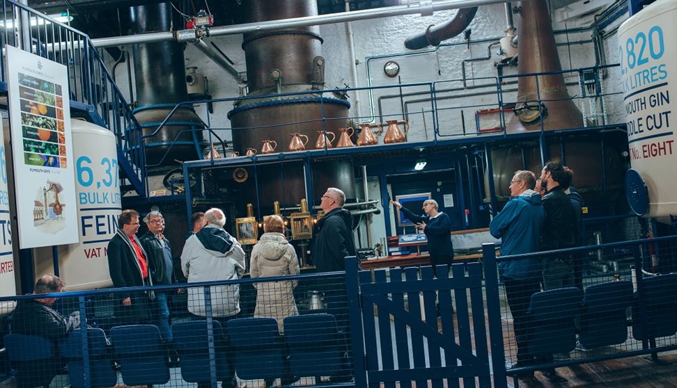 Plymouth Gin guided tour