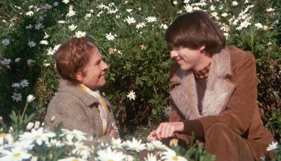 Film Harold And Maude 1971 Visit Plymouth 