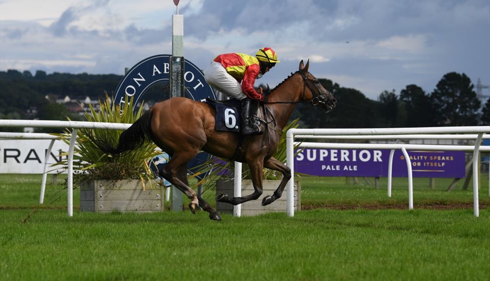 Racing at Newton Abbot Racecourse