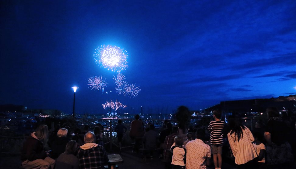 Fireworks at The Aquarium