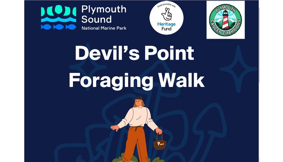 Flyer for a free foraging walk for people affected by cancer, featuring logos for Plymouth Cancer Champions, The National Lottery Community Fund, and