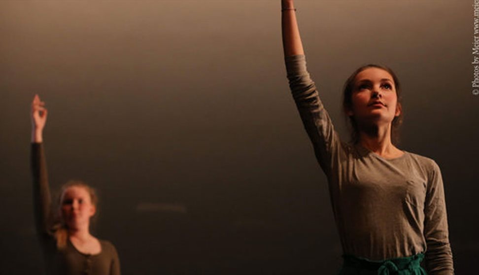 Performance: Traverse Youth Dance Platform