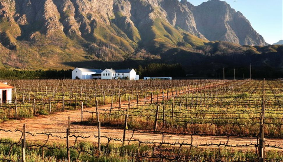 Holden Manz Meet The Winemaker