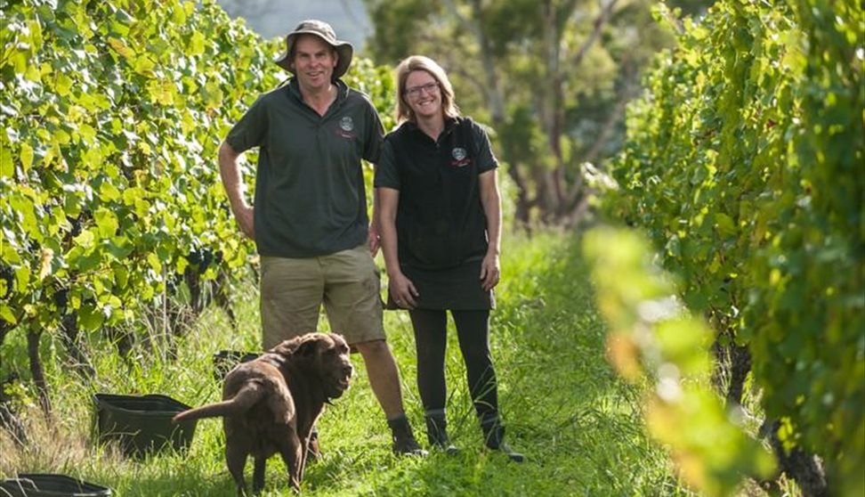 Holm Oak & Harewood 'Meet the Winemaker'