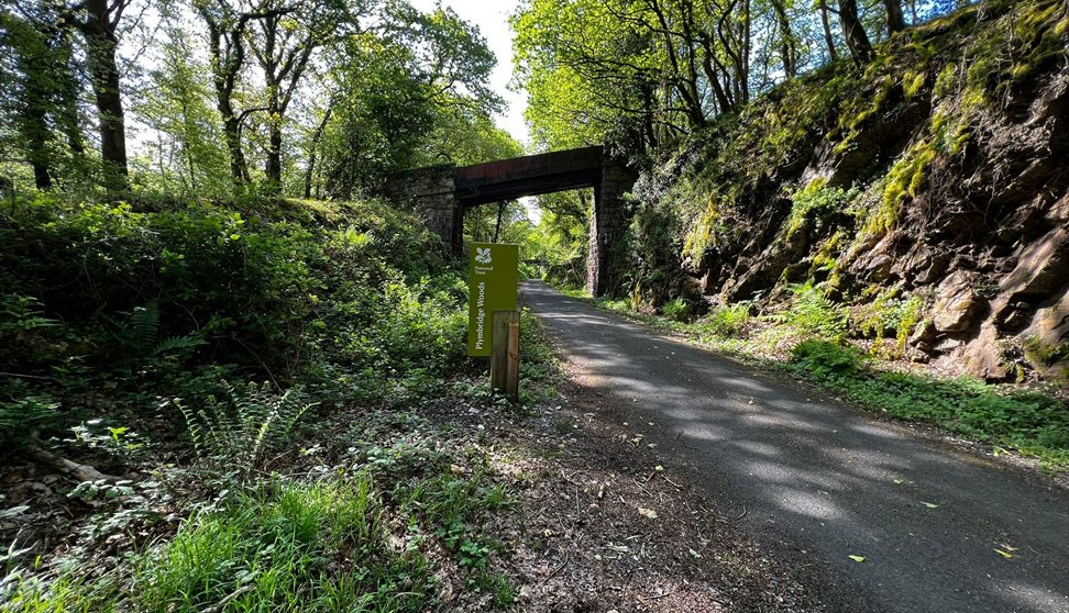 Plym valley hot sale cycle trail