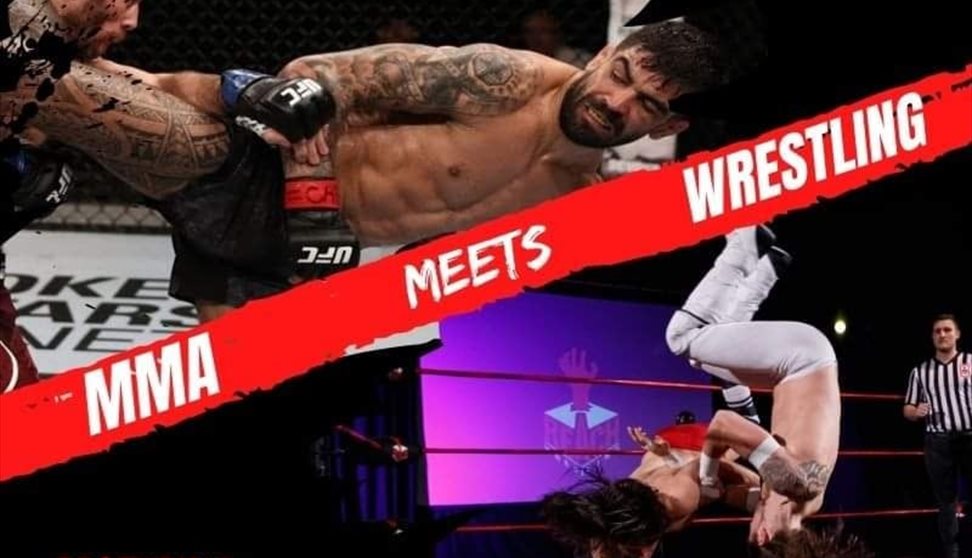 Live Fight Night