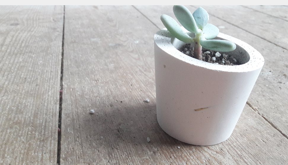 Make your own Jesmonite mini planter