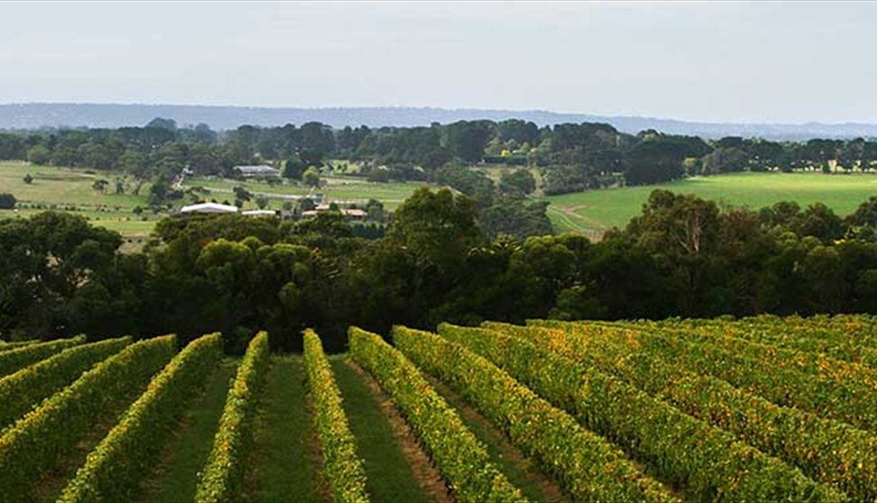 Moorooduc Estate 'Meet The Winemaker'