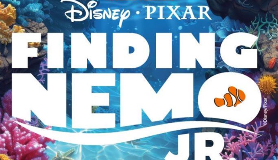 Finding Nemo JR