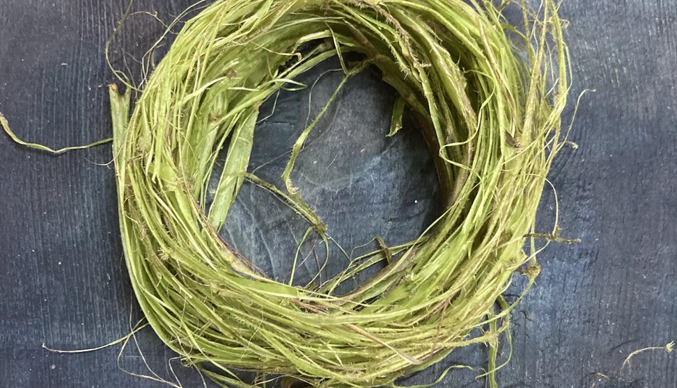 Craft Workshop (The Nettle Dress)