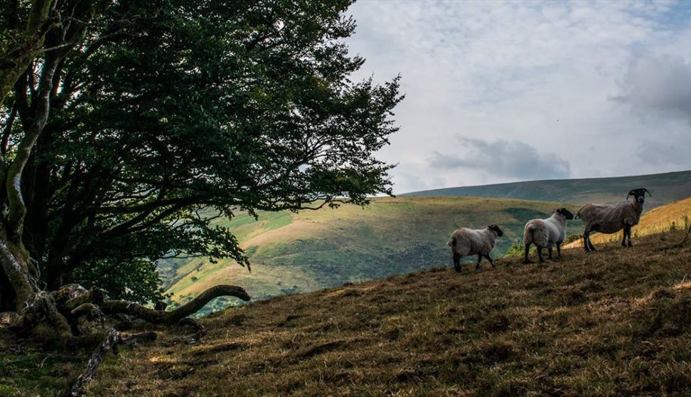 Dartmoor Photography Break