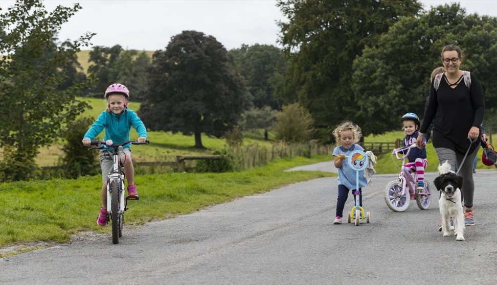 Fresh air, bike rides and dog walks at Saltram