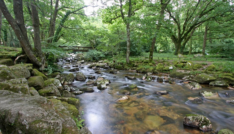 Dartmoor and walkers