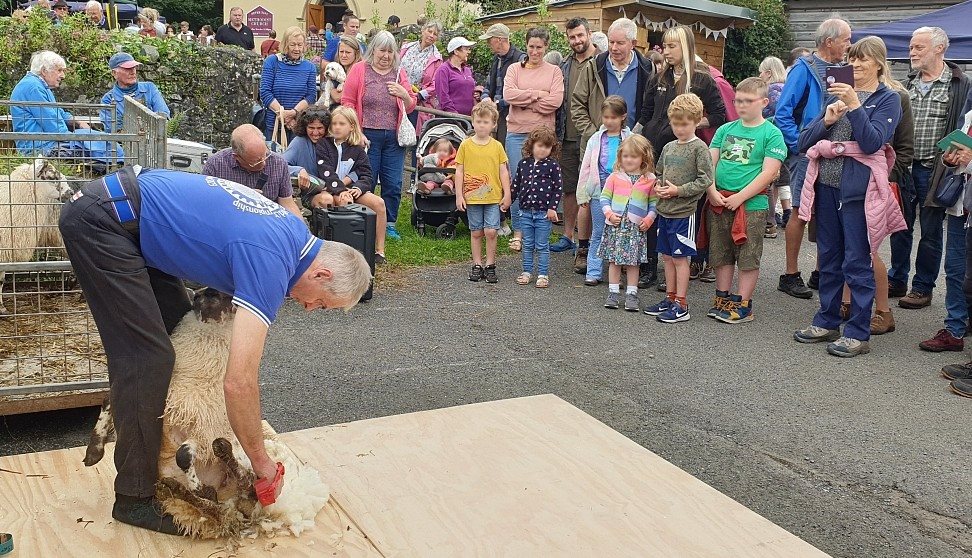 Peter Tavy Village Fayre