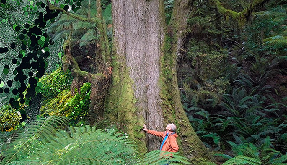 The Giants (12A) + short films – Plymouth Urban Tree Festival