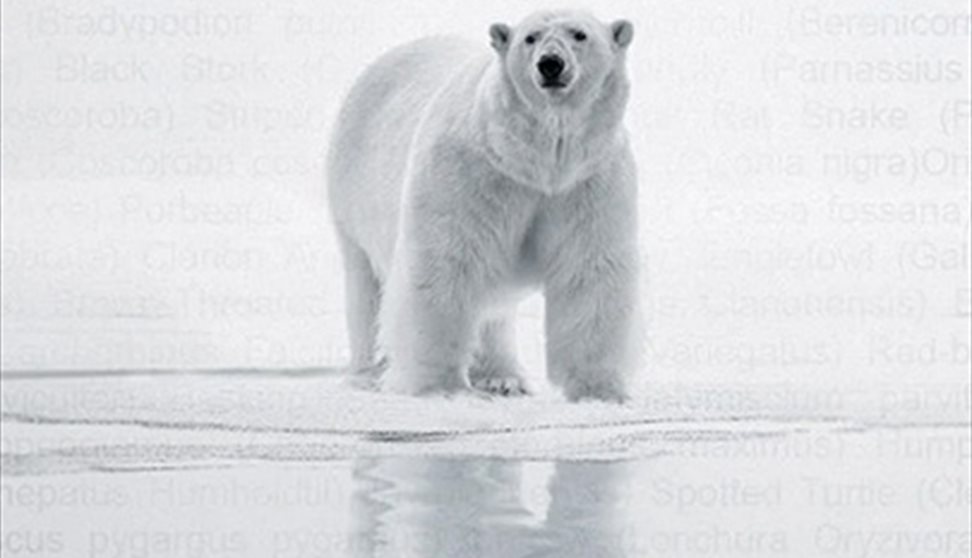 Trade Secret (12A) + Director's Q&A