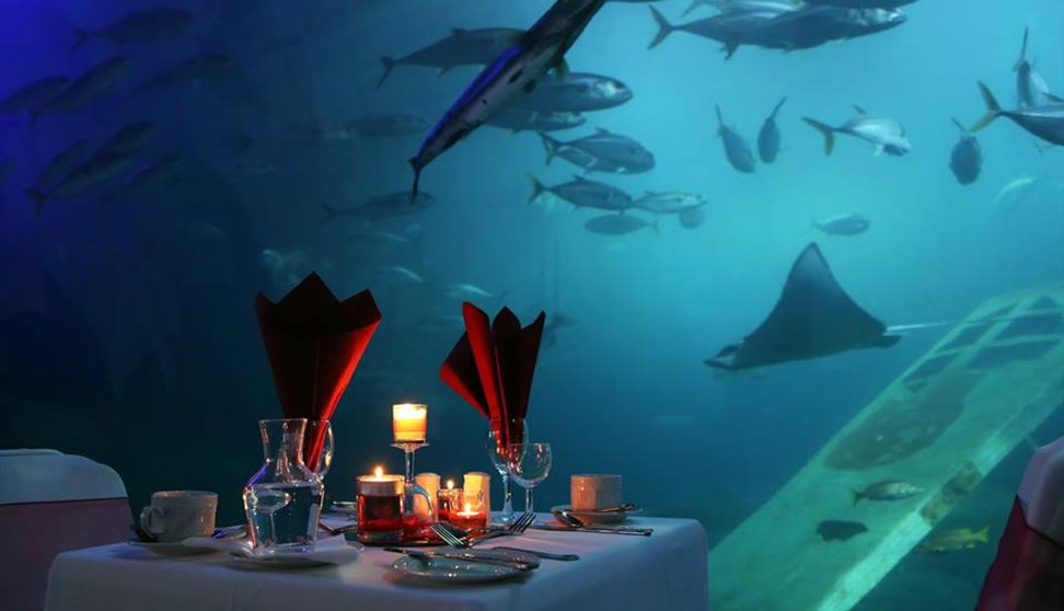 Valentine's Dine at The Aquarium