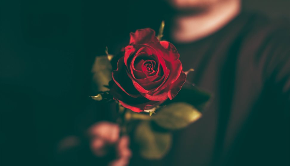 Valentines Day @ Le Vignoble
