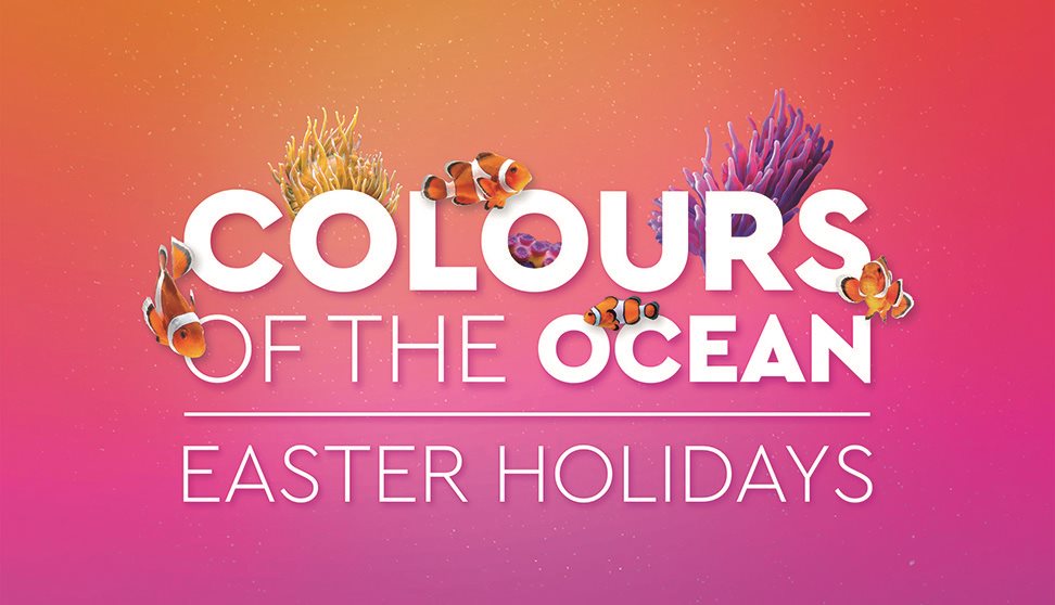 Colours of the Ocean | Easter Holidays