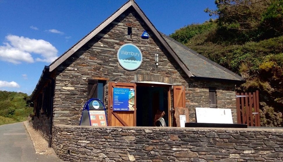 Wembury Trail Day