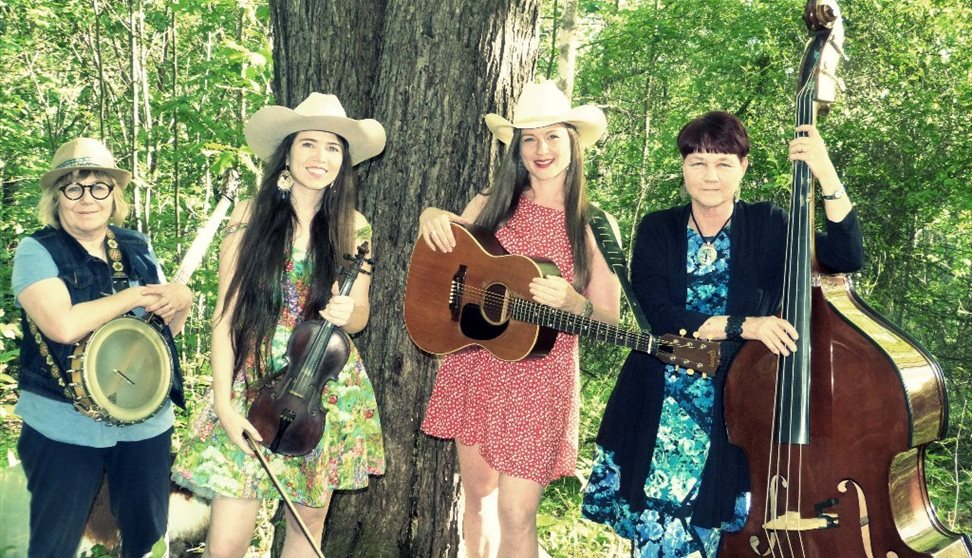 Whitetop Mountain Band