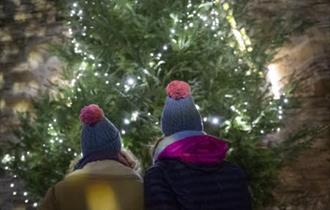 Two people in woolly hats looking up at a Christmas tree covered in lights