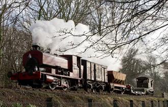 Plym Valley Railway