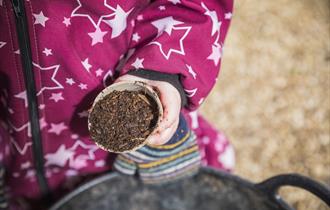A child's hand holding a container of seed-planting soil