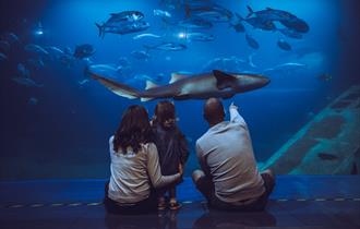 Family at National Marine Aquarium, Plymouth UK