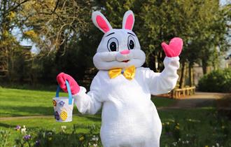 A Magical Tale with the Easter Bunny