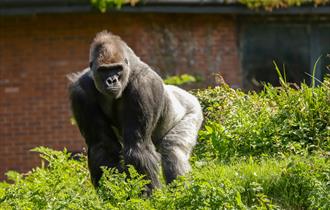 Paignton Zoo