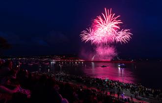 British Firework Championships on Plymouth Hoe