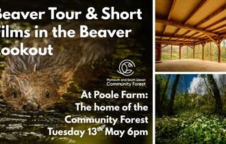 Beaver Tour & Short Films