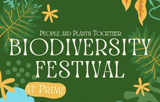 Biodiversity Festival