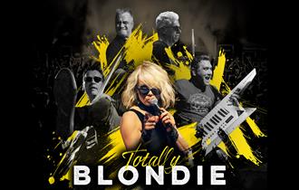 Official artwork for Totally Blondie