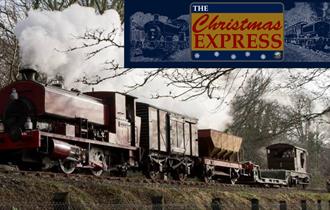 The Christmas Express at Plym Valley