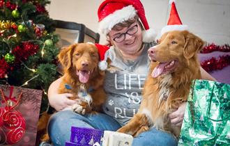 Doggy Christmas Festival