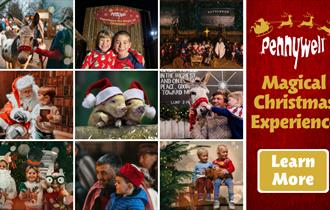 Experience the Magic at Pennywell this Christmas!