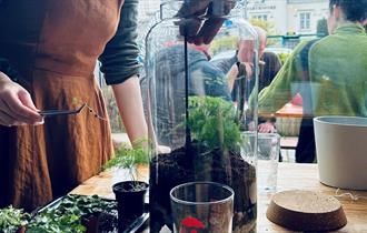 Couples Terrarium Workshop