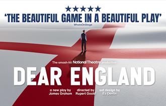 England flag with Southgate stood.